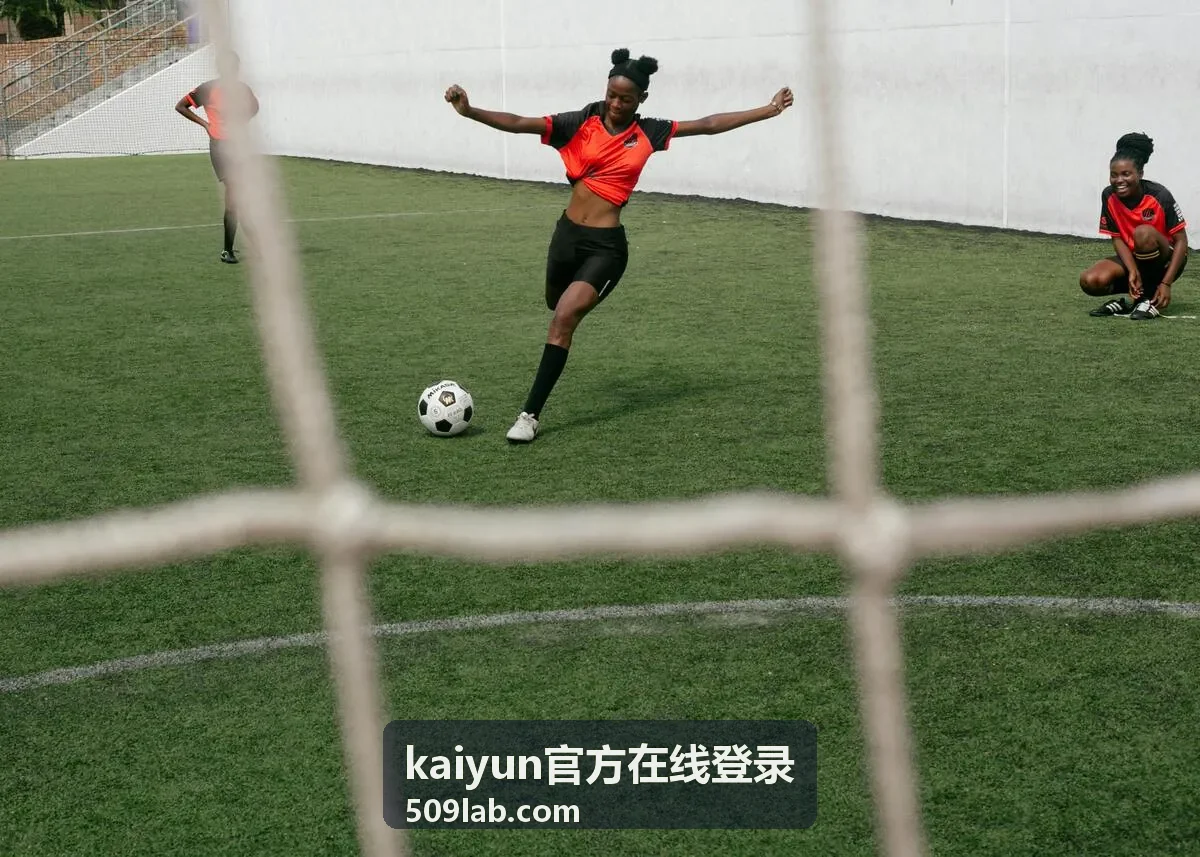 kaiyun官方在线登录登录流程指引封面